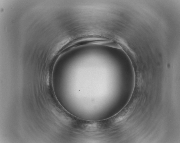 X0000088580068200706011123