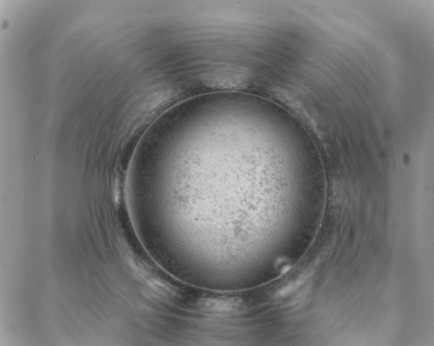 X0000088580069200706011123