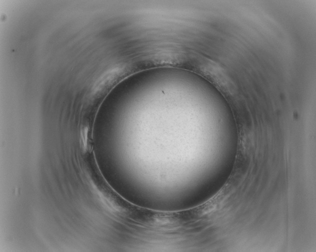 X0000088580070200706011123