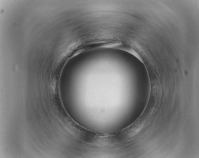 X0000088580072200706011123