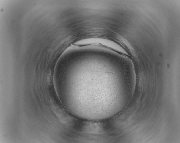 X0000088580073200706011123