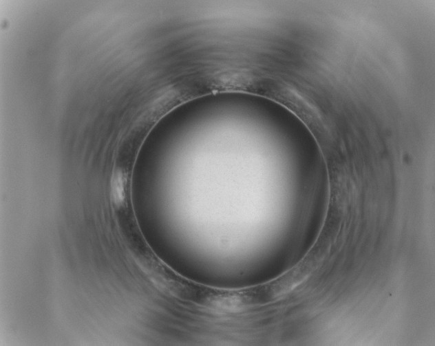 X0000088580075200706011123