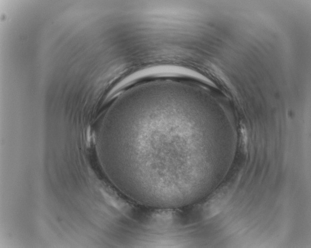 X0000088580076200706011123