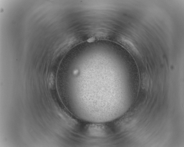 X0000088580077200706011123