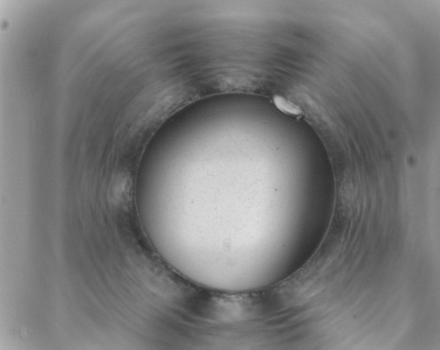 X0000088580079200706011123