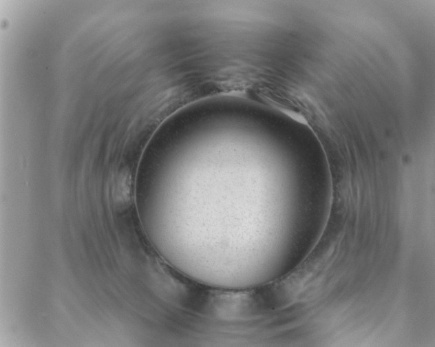 X0000088580081200706011123