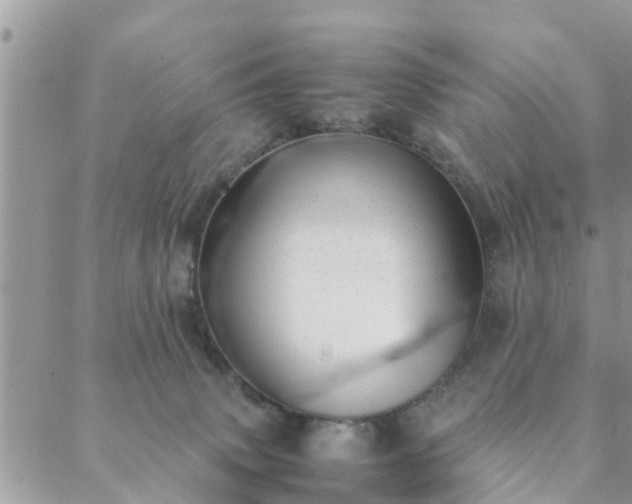 X0000088580083200706011123