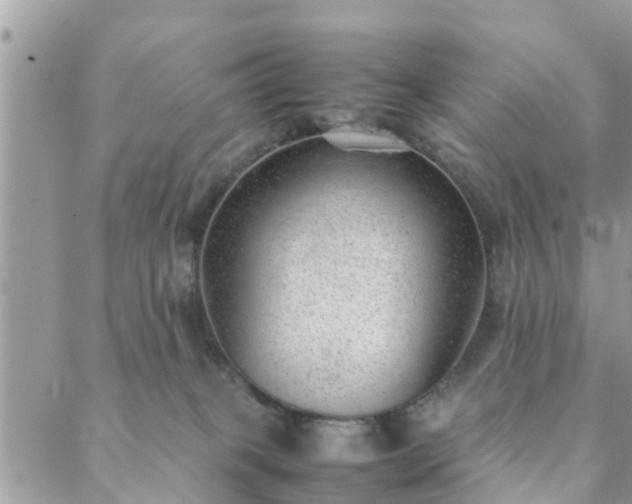 X0000088580085200706011123