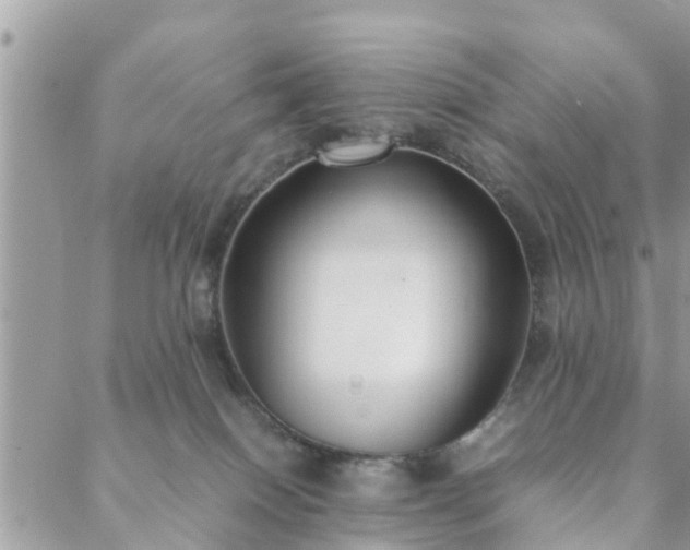 X0000088580086200706011123