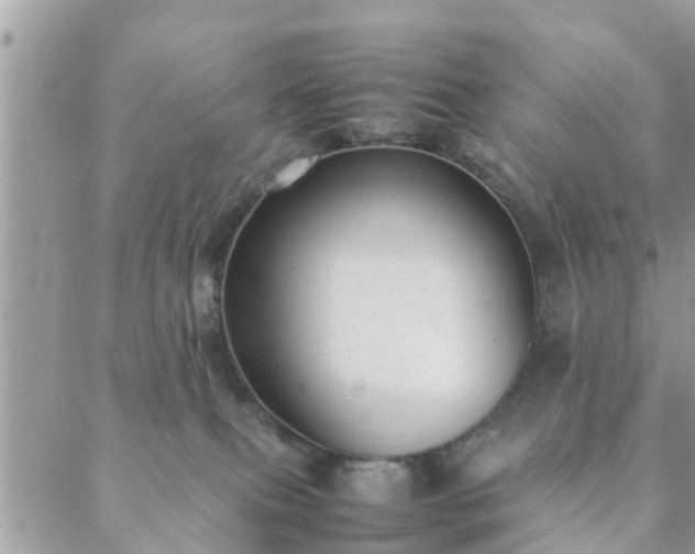 X0000088580087200706011123