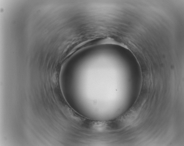 X0000088580088200706011123