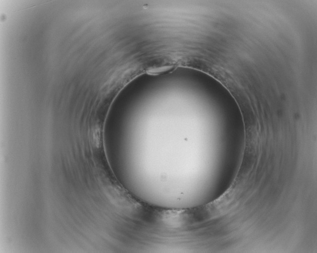 X0000088580090200706011123