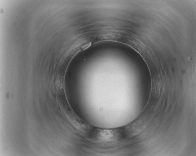 X0000088580091200706011123