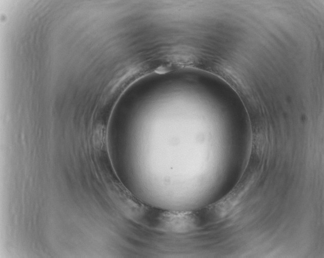 X0000088580093200706011123