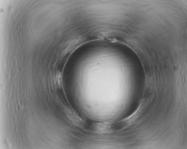 X0000088580094200706011123