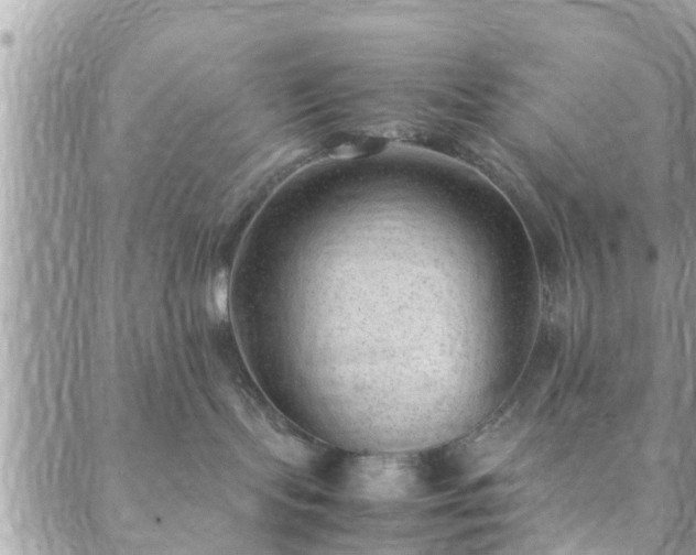 X0000088580095200706011123