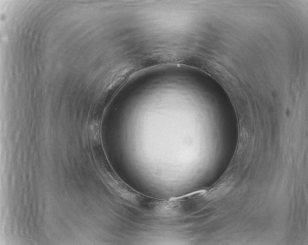 X0000088580096200706011123