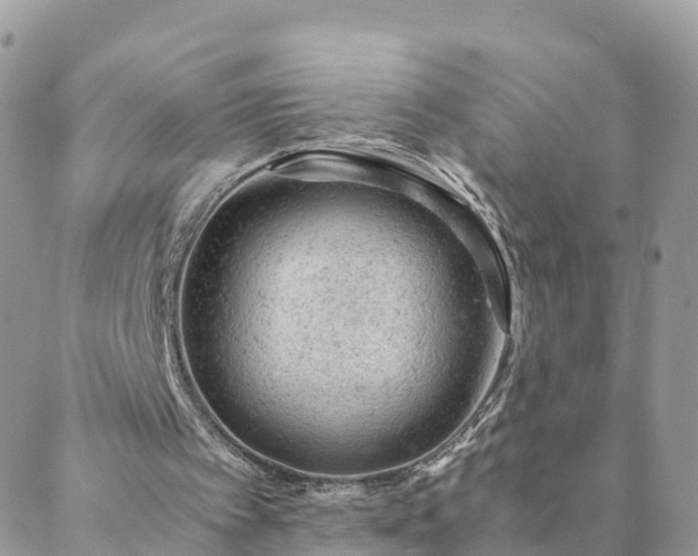 X0000088580097200706011123