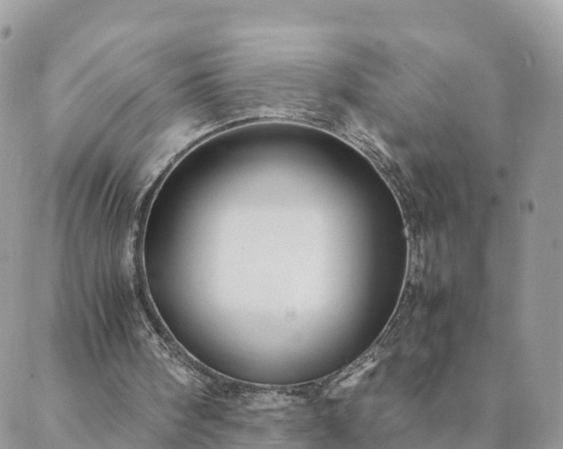 X0000088580098200706011123