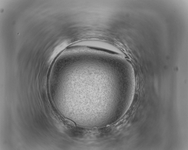 X0000088580099200706011123