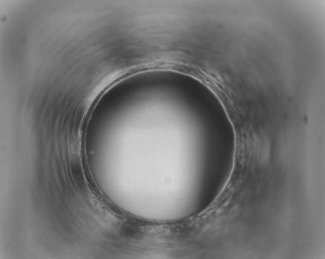 X0000088580100200706011123