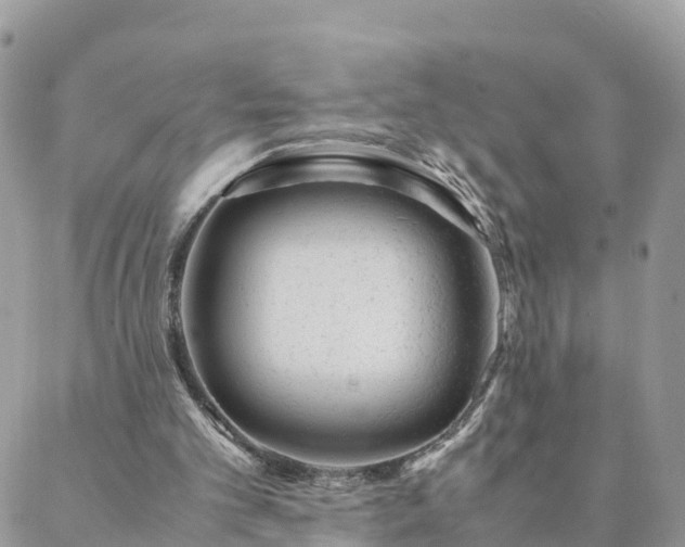 X0000088580101200706011123