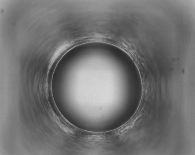 X0000088580102200706011123