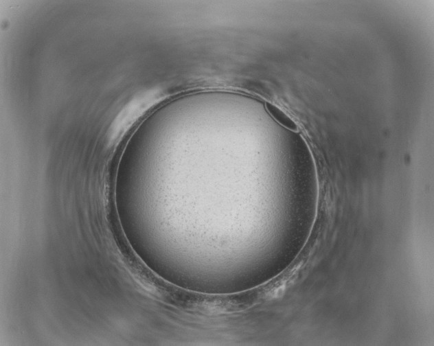 X0000088580103200706011123