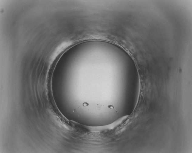 X0000088580104200706011123