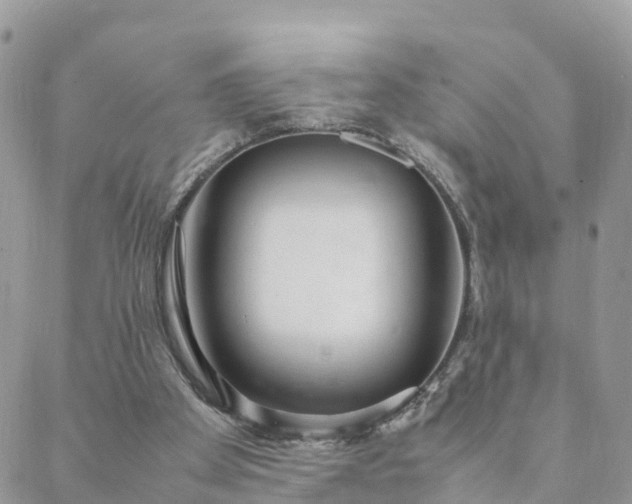 X0000088580105200706011123