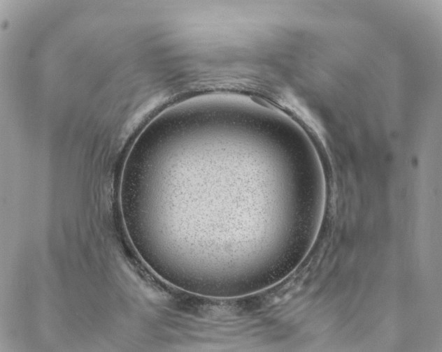 X0000088580107200706011122