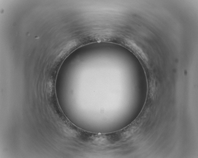 X0000088580113200706011122