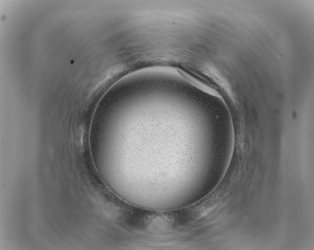 X0000088580115200706011122