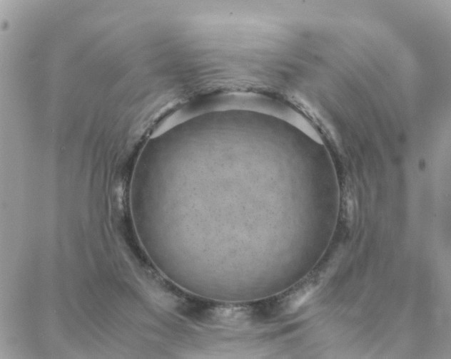 X0000088580117200706011122