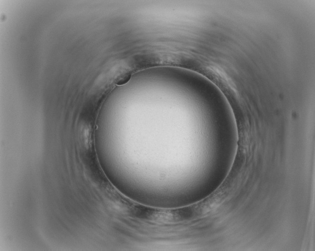 X0000088580123200706011122