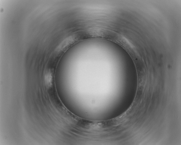 X0000088580124200706011122