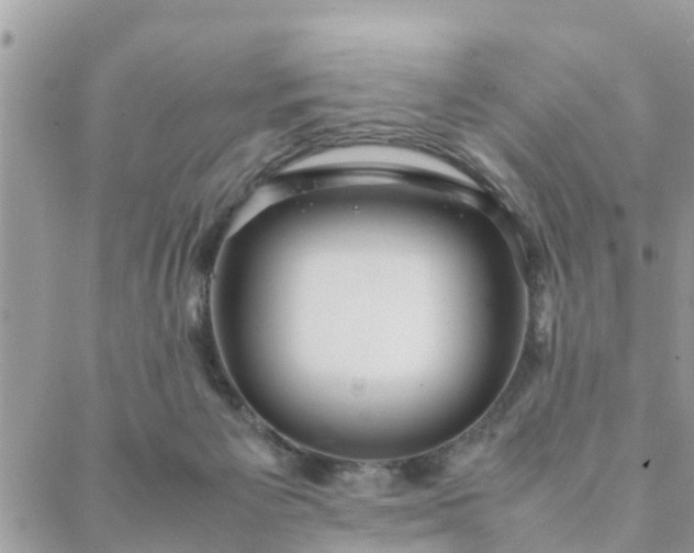 X0000088580125200706011122