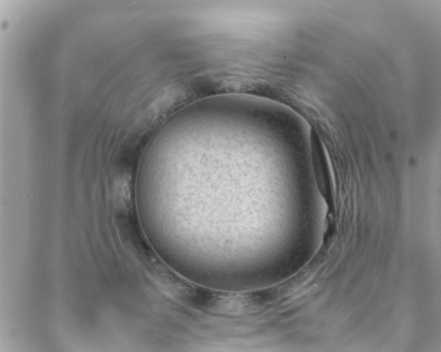 X0000088580127200706011122