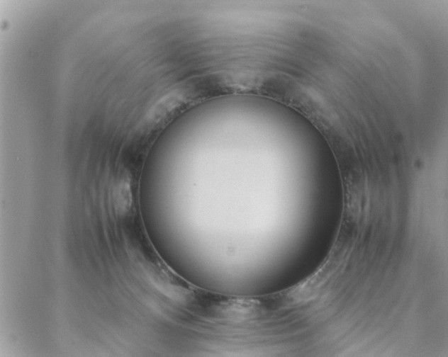 X0000088580128200706011122