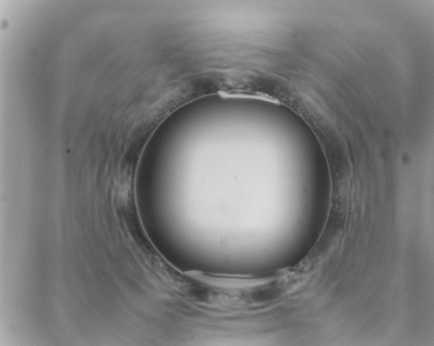 X0000088580129200706011122