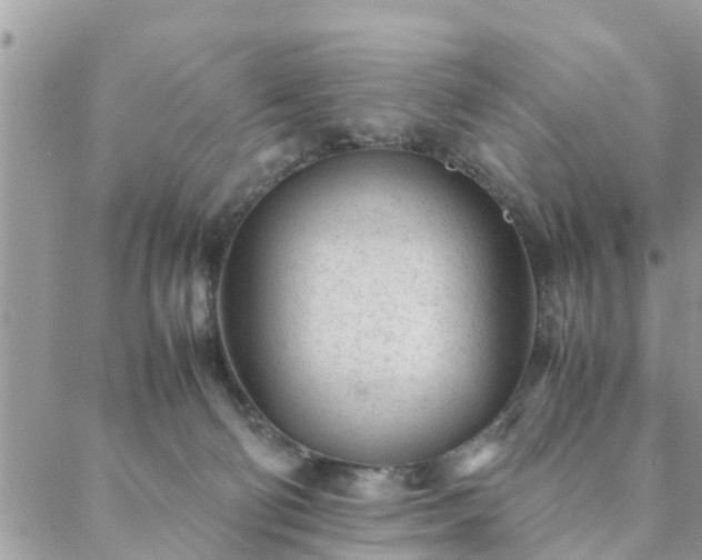 X0000088580130200706011122