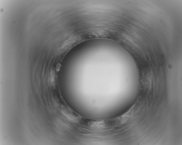 X0000088580132200706011122