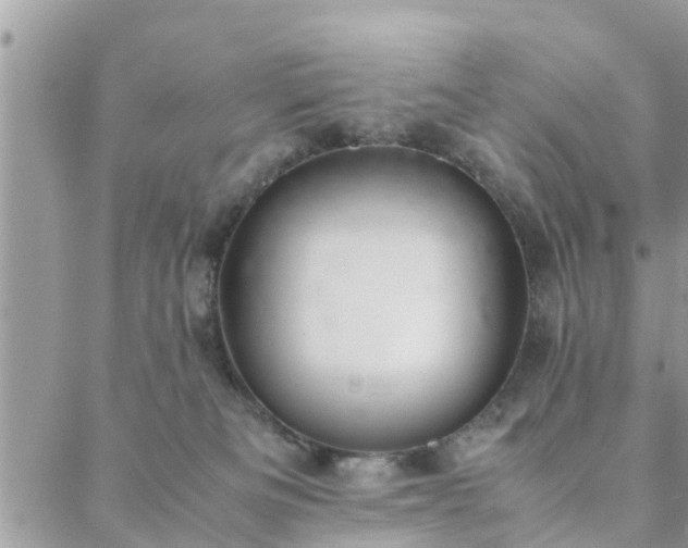 X0000088580133200706011122