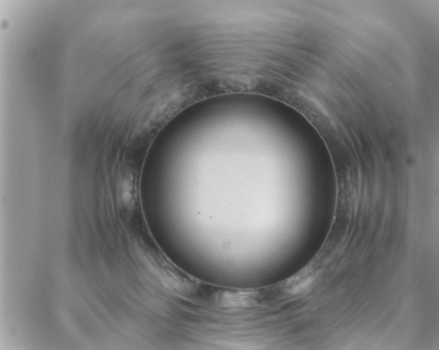 X0000088580134200706011122