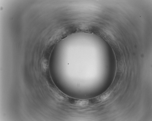 X0000088580135200706011122