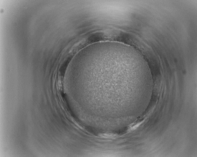 X0000088580137200706011122