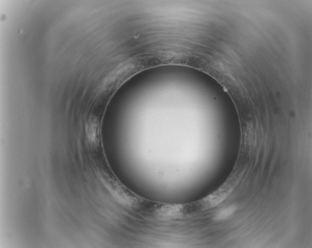 X0000088580138200706011122