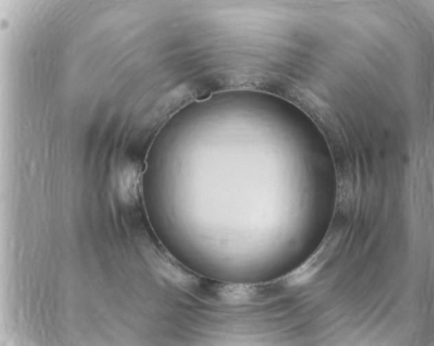 X0000088580142200706011122