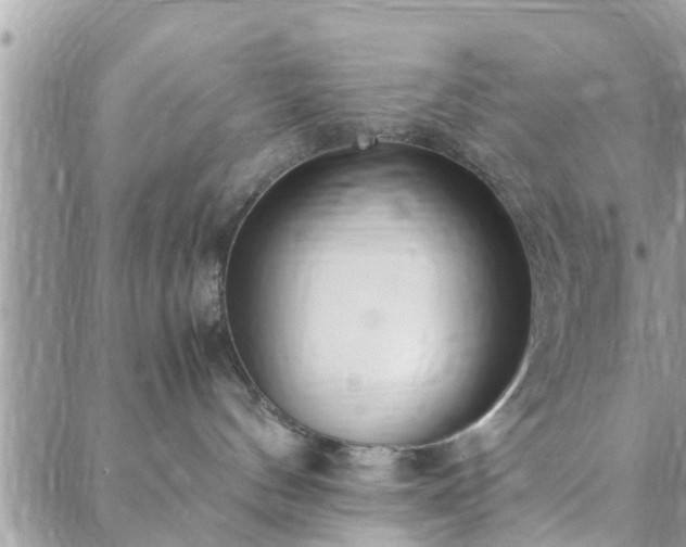 X0000088580144200706011122