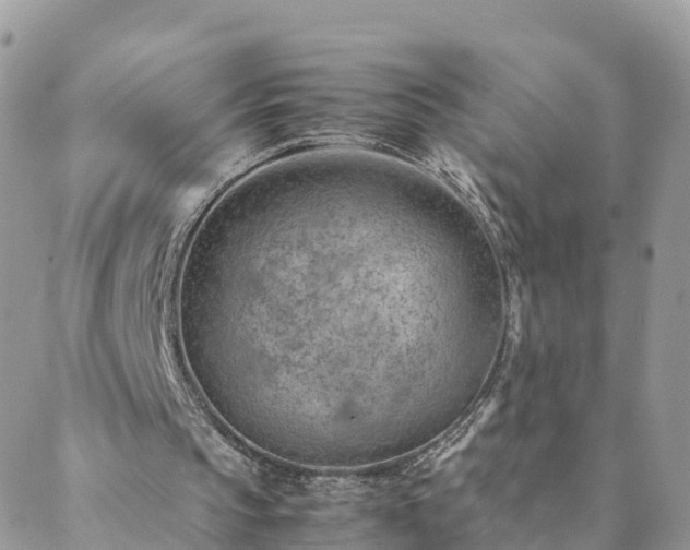 X0000088580145200706011121